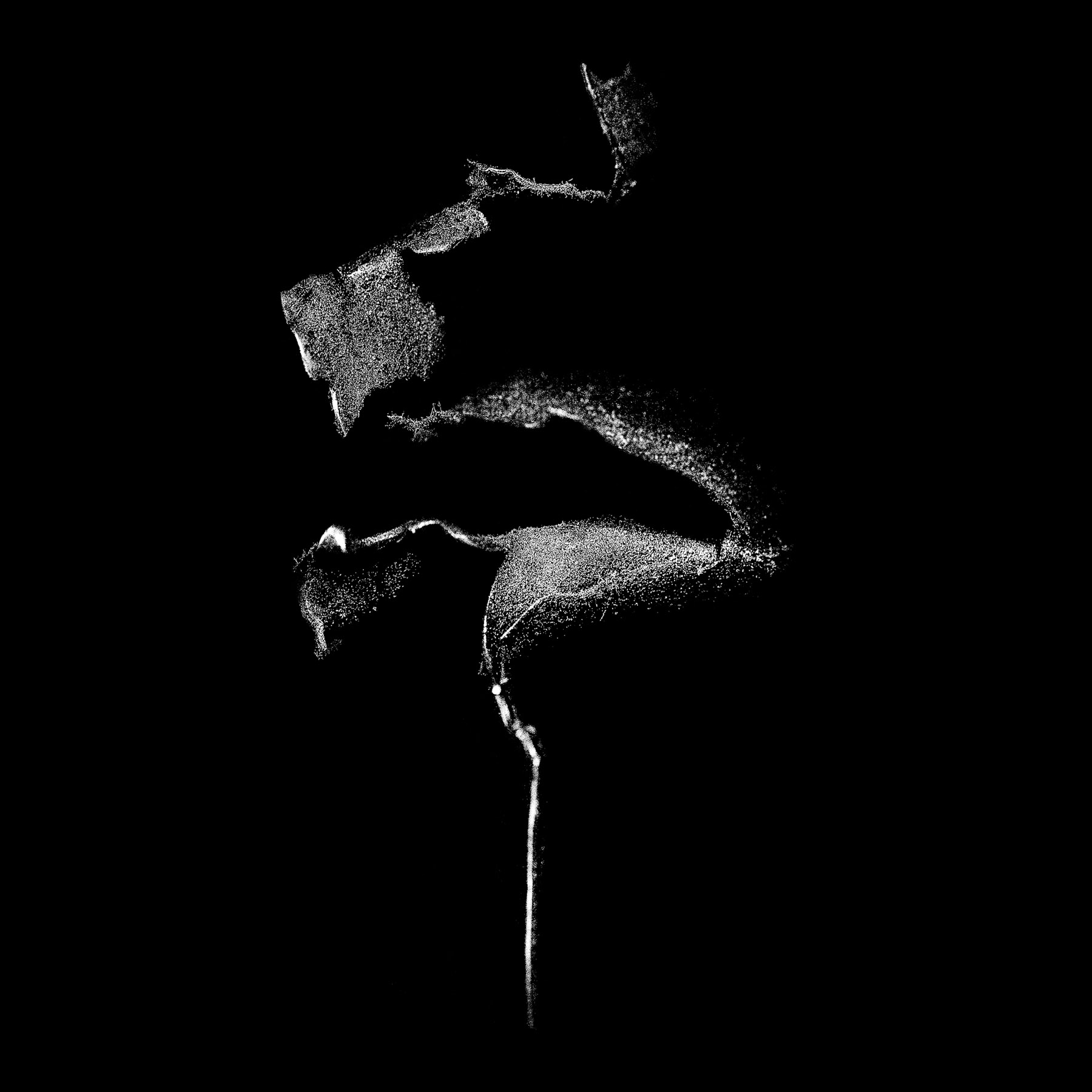 Scar_Square